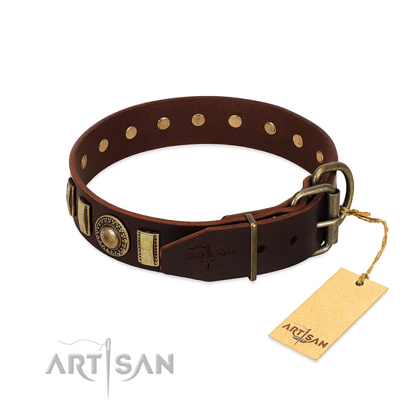 Adjustable leather dog collar with strong fittings