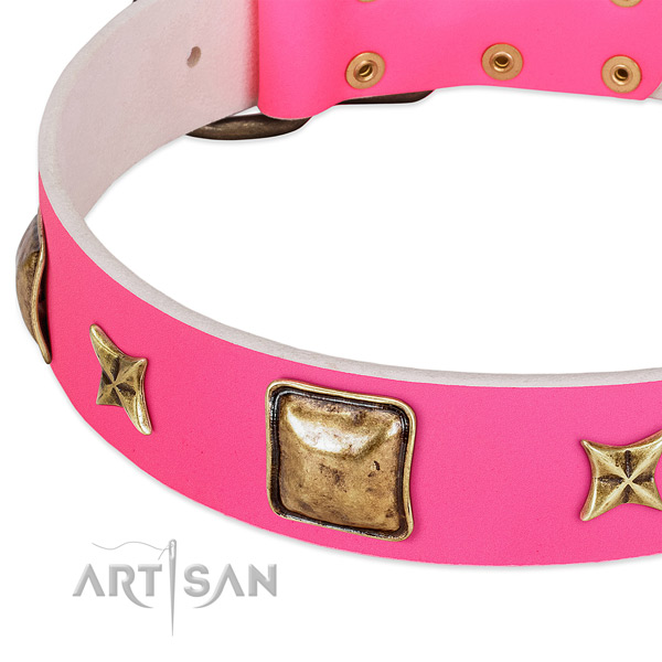 Full grain natural leather dog collar with impressive decorations