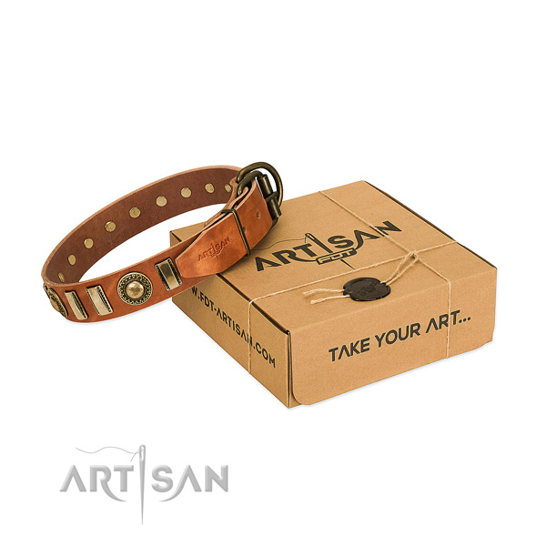 Flexible natural leather dog collar with reliable fittings