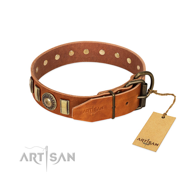 Stunning leather dog collar with corrosion proof traditional buckle