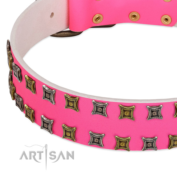 Leather dog collar with inimitable adornments