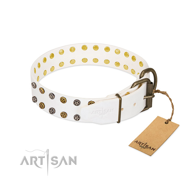 Amazing full grain leather dog collar with rust-proof studs
