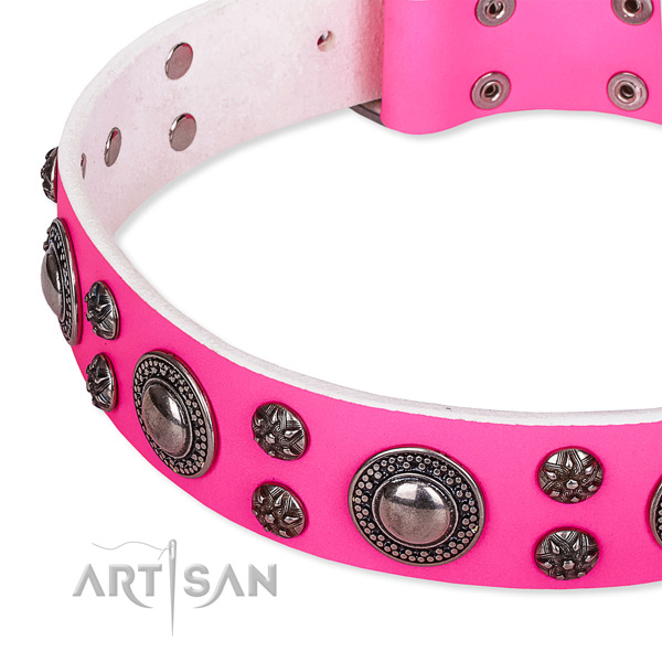 Daily use studded dog collar of finest quality natural leather