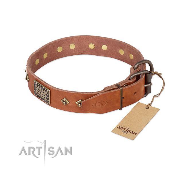 Natural leather dog collar with rust resistant D-ring and embellishments