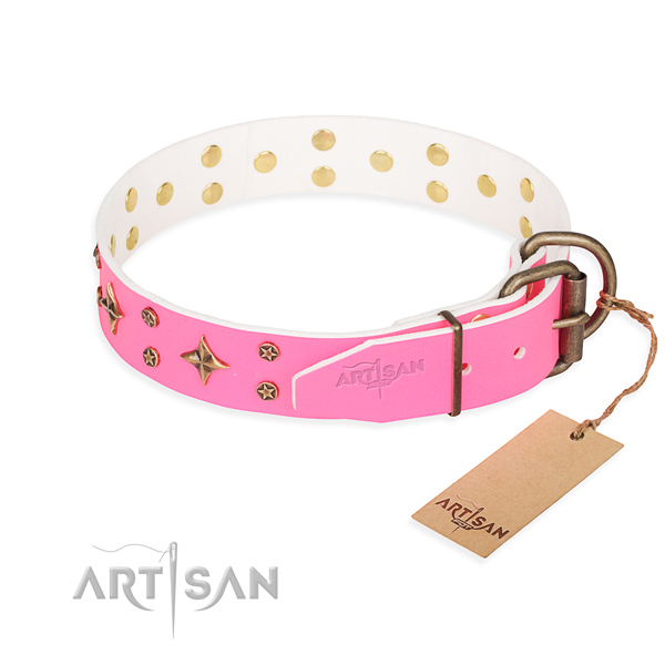 Stylish walking adorned dog collar of best quality full grain leather