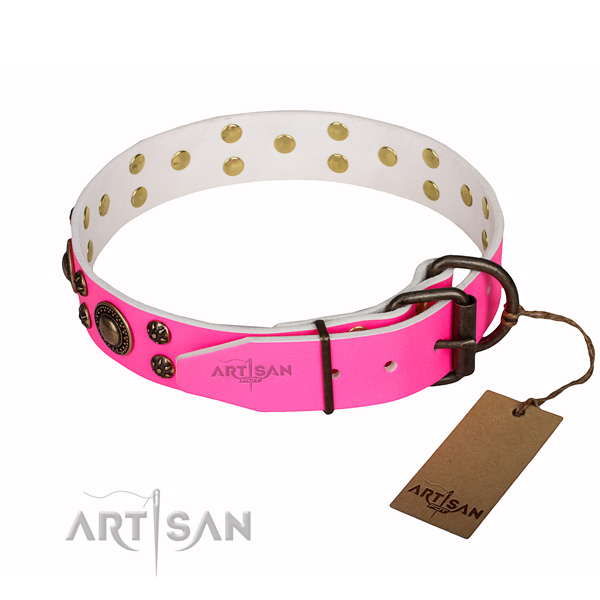 Walking studded dog collar of reliable full grain genuine leather