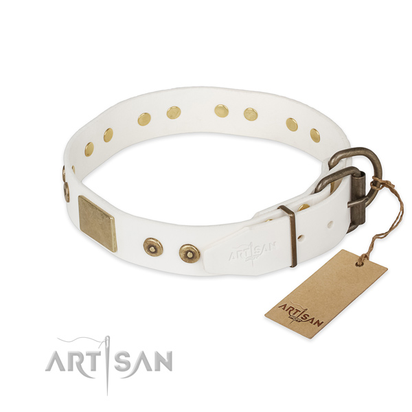Corrosion proof fittings on full grain leather collar for everyday walking your doggie