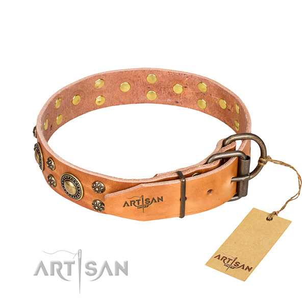 Basic training studded dog collar of high quality full grain leather