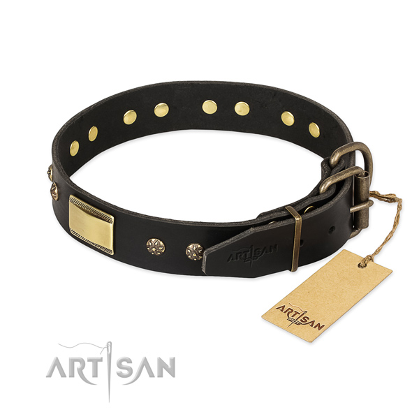 Natural leather dog collar with reliable fittings and embellishments