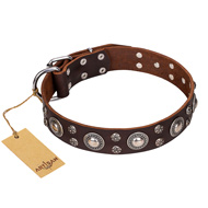 "Age of Beauty" FDT Artisan Incredible Studded Brown Leather Collie Collar