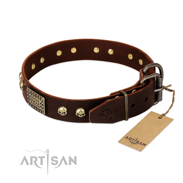 Rust resistant studs on basic training dog collar