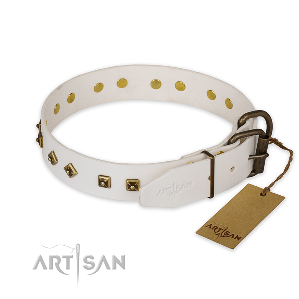 Reliable hardware on genuine leather collar for daily walking your four-legged friend