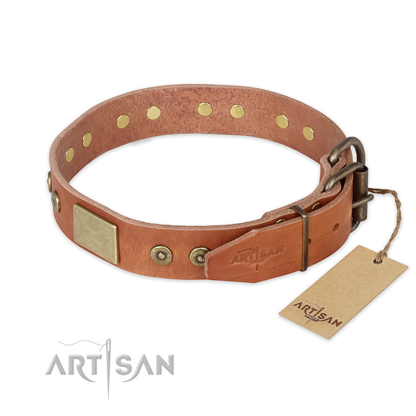 Reliable fittings on full grain natural leather collar for basic training your four-legged friend