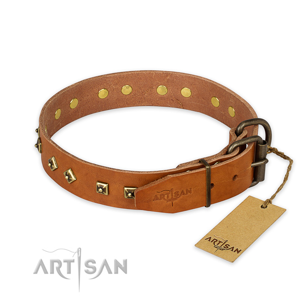 Corrosion proof hardware on genuine leather collar for basic training your pet