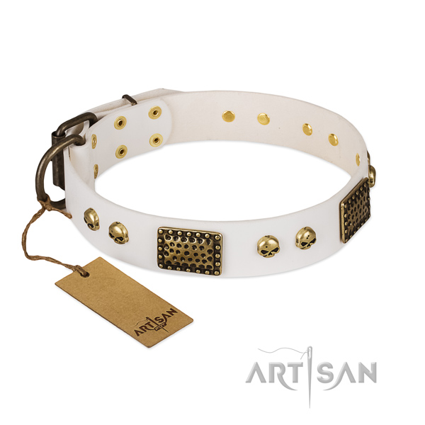 Durable traditional buckle on handy use dog collar