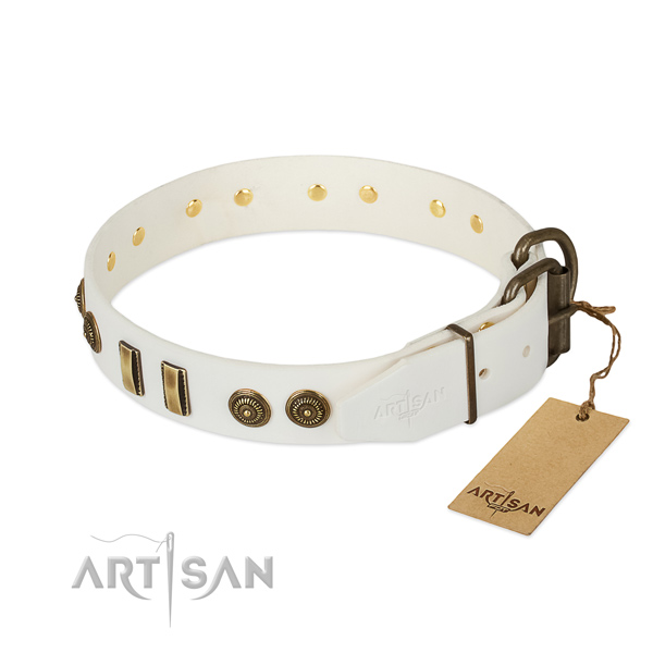 Reliable embellishments on genuine leather dog collar for your canine