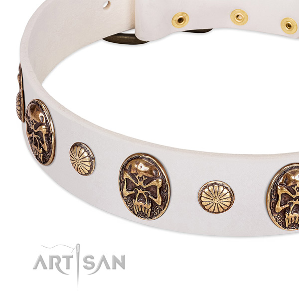 Durable embellishments on natural genuine leather dog collar for your dog