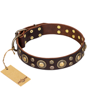 "Flower Melody" FDT Artisan Brown Leather Collie Collar with Mixed Studs