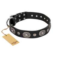 "Black Tie" FDT Artisan Leather Collie Collar with Old Silver-like Decorations