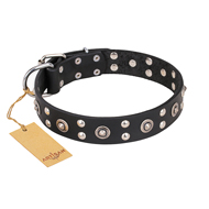 "Refined Essence" FDT Artisan Black Leather Collie Collar with Silvery Studs