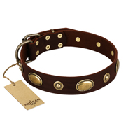 "Hebe's Jewel" FDT Artisan Brown Genuine Leather Collie Collar