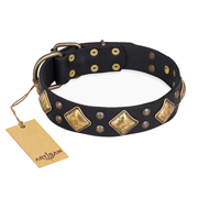 "Fancy-Schmancy" FDT Artisan Studded Leather Collie Collar