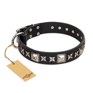 "Space Walk" FDT Artisan Black Leather Collie Collar with Adornments