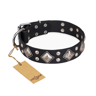 "Smart Geometry" FDT Artisan Studded Leather Collie Collar