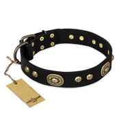 "High Fashion" FDT Artisan Studded with Plates Black Leather Collie Collar