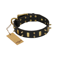"Medieval Style" FDT Artisan Leather Collie Collar with Brass Plated Plates and Spikes