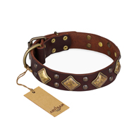 "Golden Square" FDT Artisan Brown Leather Collie Collar with Large Squares