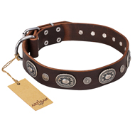 "Extra Pizzazz" FDT Artisan Adorned Brown Leather Collie Collar