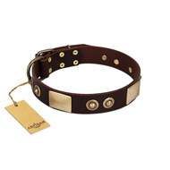 "Sense of Freedom" FDT Artisan Brown Leather Collie Collar with Old Bronze-Plated Studs and Plates