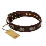 "Chocolate kiss" FDT Artisan Leather Collie Collar with Old Bronze Look Oval Plates