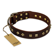 "Fashion Studs" FDT Artisan Decorated Leather Collie Collar with Old Bronze-Plated Steel Hardware