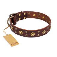 "Caprice of Fashion" FDT Artisan Brown Leather Collie Collar with Round Decorations