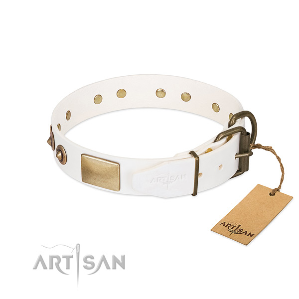 Rust-proof adornments on leather dog collar for your four-legged friend