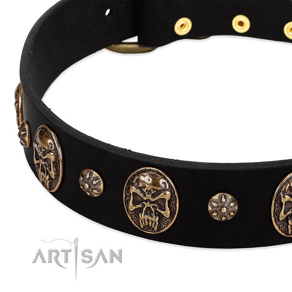 Corrosion resistant D-ring on natural genuine leather dog collar for your dog