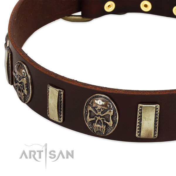 Durable decorations on leather dog collar for your pet
