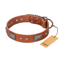 "Sparkling Skull" FDT Artisan Tan Leather Collie Collar with Old Silver Look Plates and Skulls