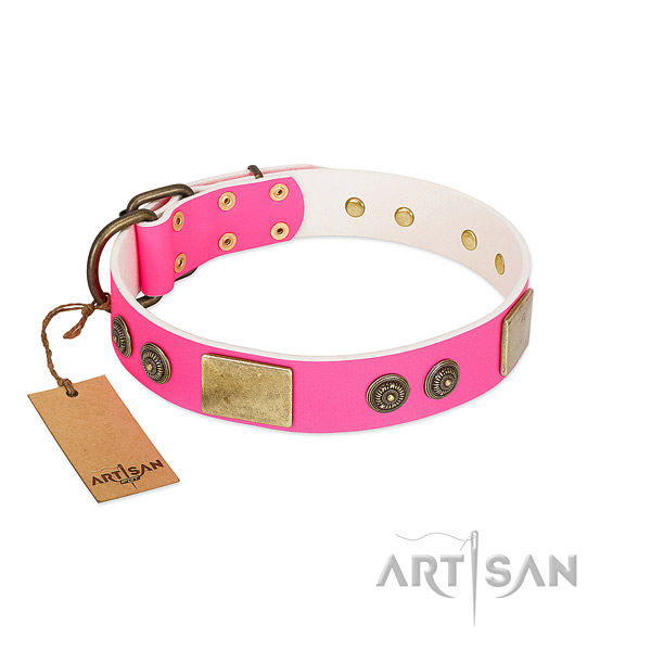 Exquisite leather dog collar for walking
