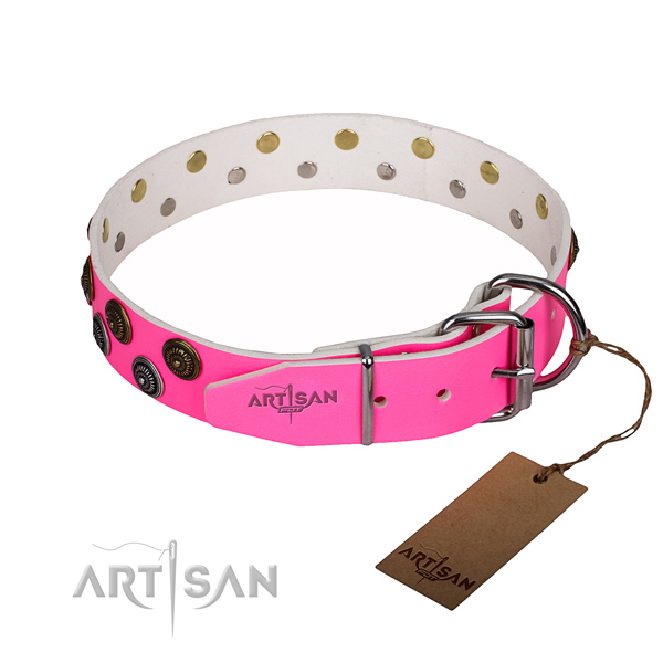 Stylish walking studded dog collar of top quality full grain natural leather