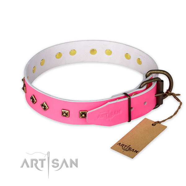 Strong fittings on leather collar for fancy walking your canine