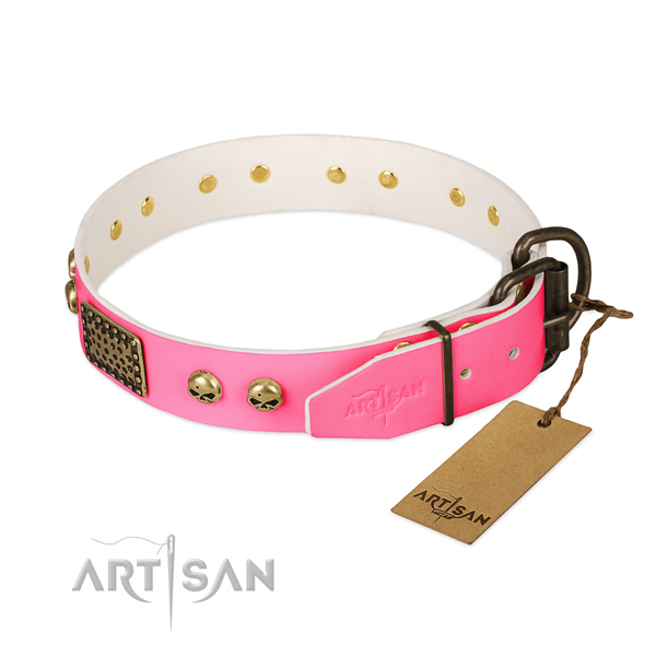 Rust resistant adornments on natural leather dog collar for your doggie