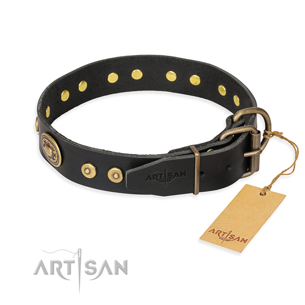 Leather dog collar made of reliable material with rust resistant adornments
