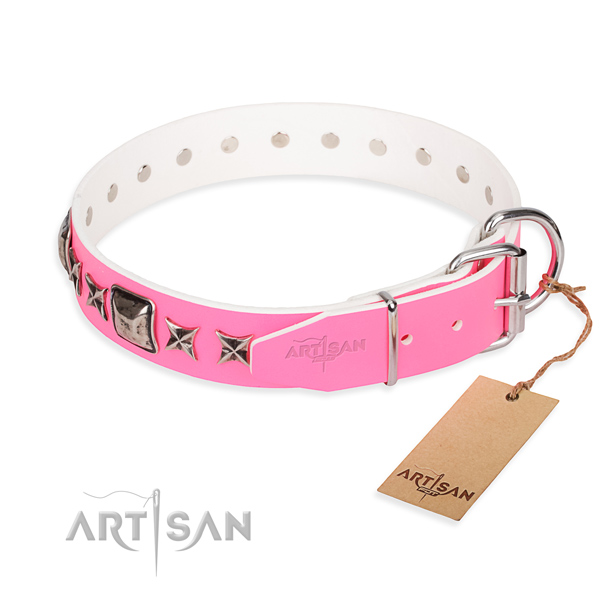 Strong studded dog collar of genuine leather