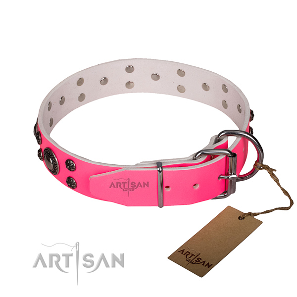 Basic training adorned dog collar of best quality full grain leather