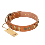 "Natural Beauty" FDT Artisan Tan Leather Collie Collar with Old Bronze-like Circles and Plates