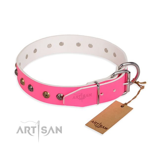 Full grain natural leather dog collar with remarkable strong adornments