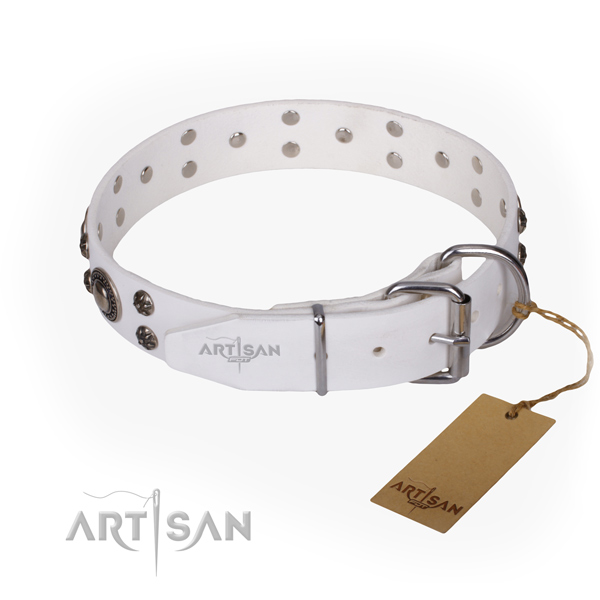 Fancy walking embellished dog collar of top quality full grain leather